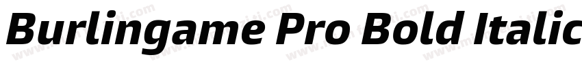 Burlingame Pro Bold Italic字体转换